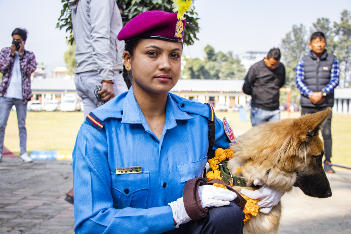 तिहारको तेस्रो दिन: कुकुर तिहार र नरक चतुर्दशी मनाइँदै