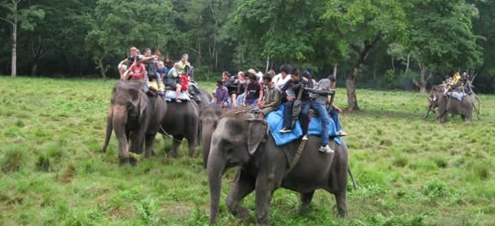 पोखरामा हुने हट बेलुन महोत्सवको तयारी पूरा 