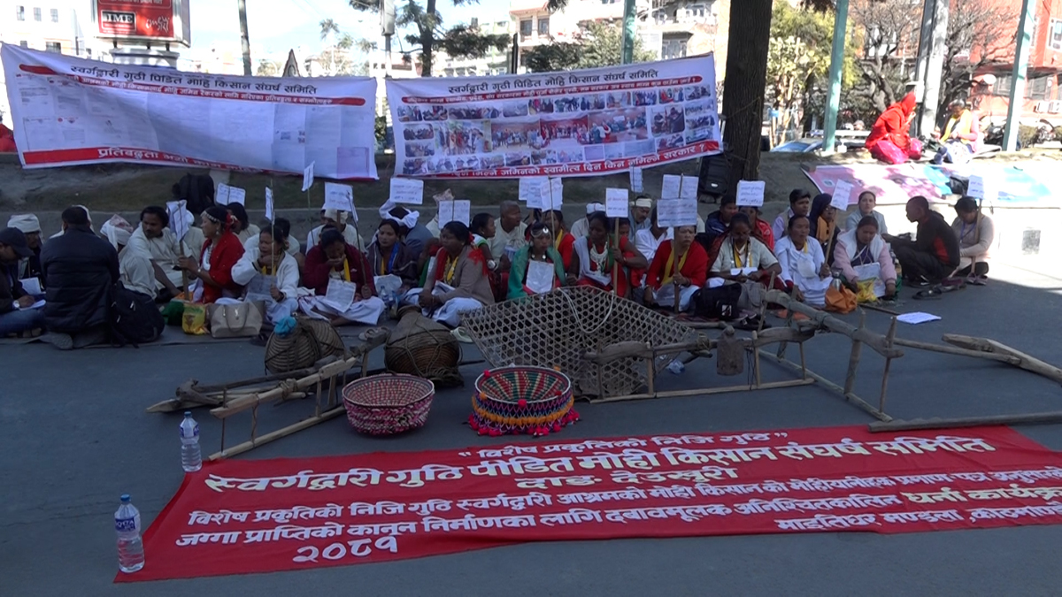 स्वर्गद्वारी गुठी पीडित मोही किसानद्वारा काठमाडौंमा विरोध प्रदर्शन 