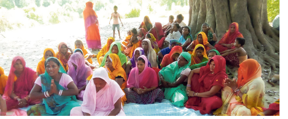 महोत्तरीको गौशालामा अवैध रूपमा रकम असुली गर्दै जग्गा पास गर्ने प्रकरण सार्वजनिक