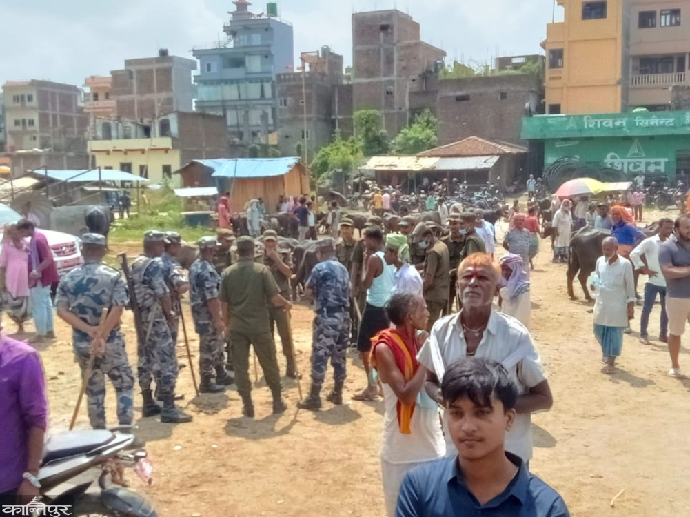 गौशालामा राजस्व संकलनको विषयमा दोहोरो झडप, १५ जना घाइते, साढे ७ लाख लुटिएको आरोप