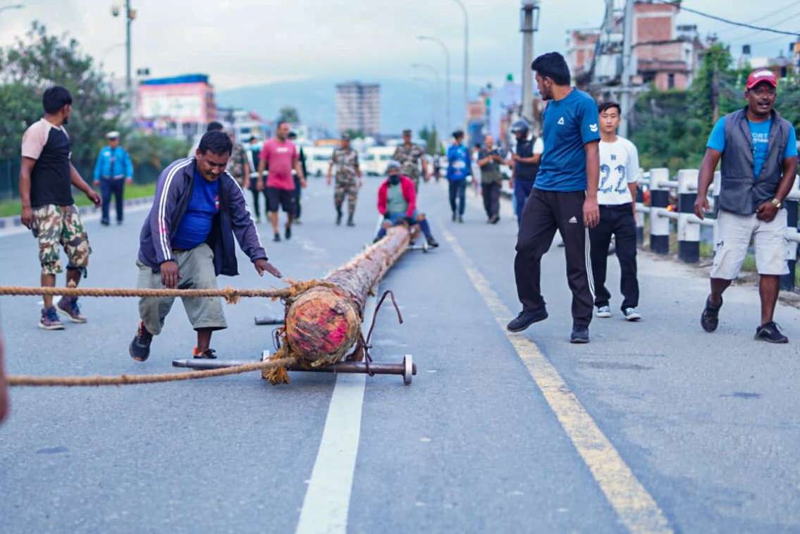 इन्द्र जात्राः यसिंलाई आज नगर प्रवेश गराई कालभैरव अगाडि राखिदै