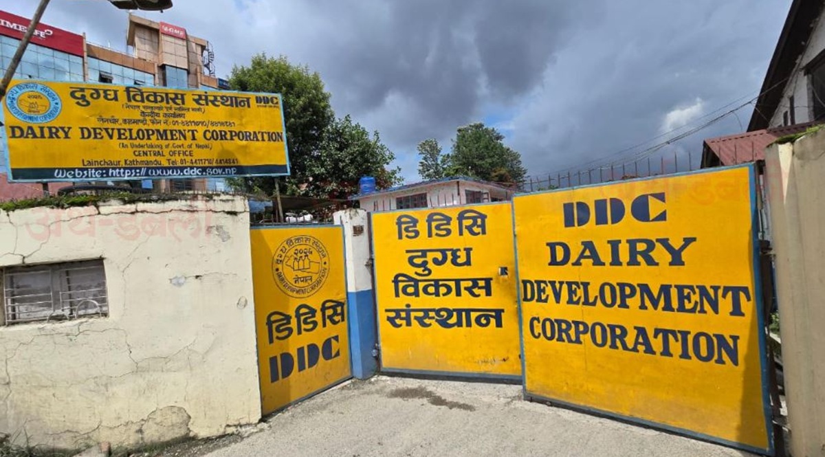 दुग्ध विकास संस्थानमा महाप्रबन्धक पदमा आवेदन खुला, २१ दिन भित्र इच्छुक उम्मेदवारले  आवेदन दिन सकिने