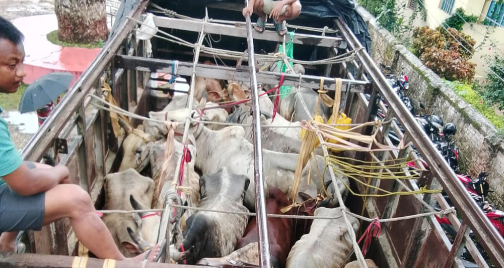 अवैध रुपमा गोरु लैजाँदै गरेको ट्रक बर्दघाटमा नियन्त्रणमा
