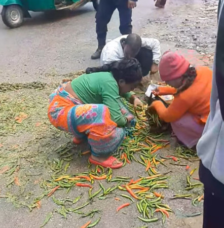 उचित बजार मूल्य नपाएपछि किसानले सडकमा फालिदिए खुर्सानी