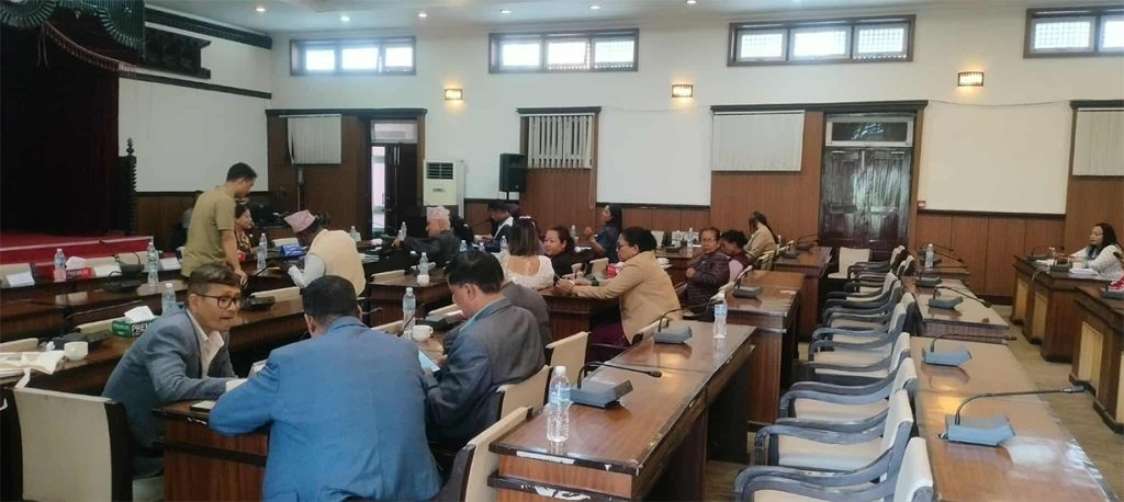 भूमि विधेयक बहुमतले पारित, माओवादी र रास्वपाको असहमति