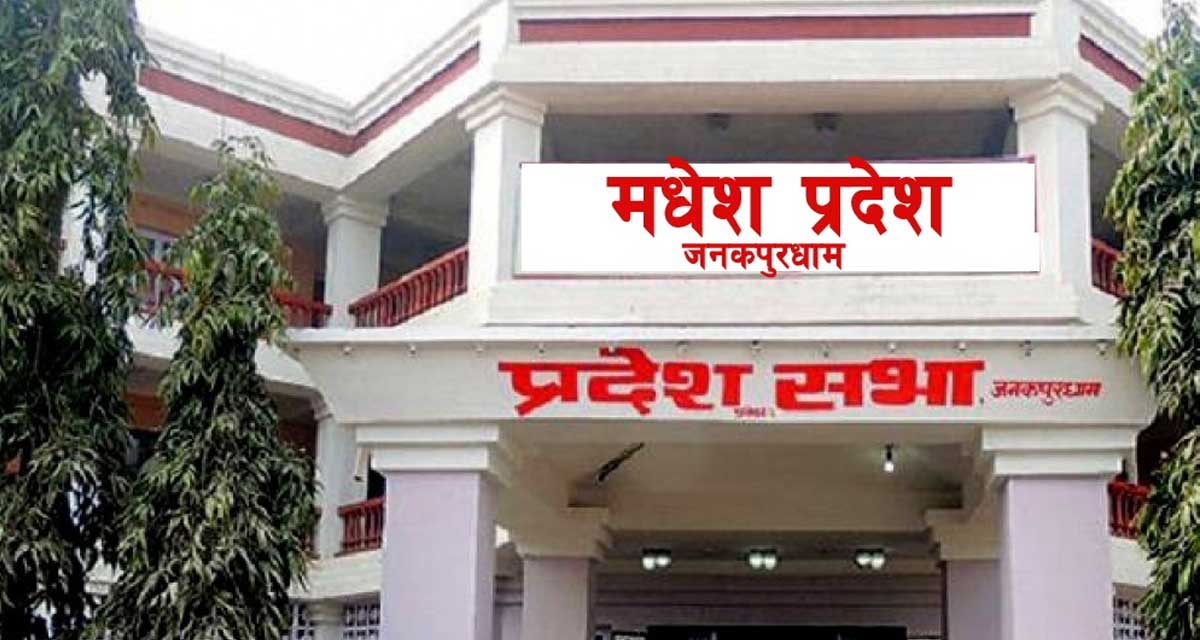 मधेस प्रदेशमा डिपबोरिङ र स्यालो ट्युबेल व्यवस्था गर्न माग