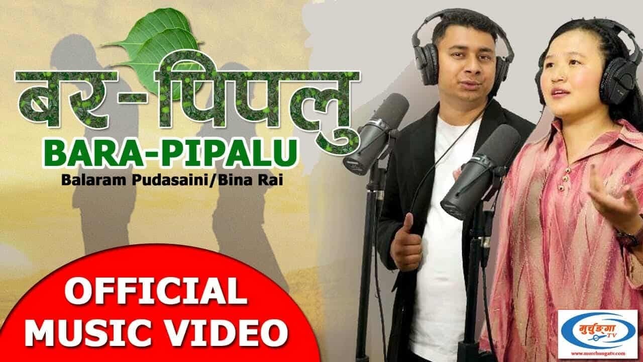पुडासैनीको वर पिपलु सार्वजनिक 