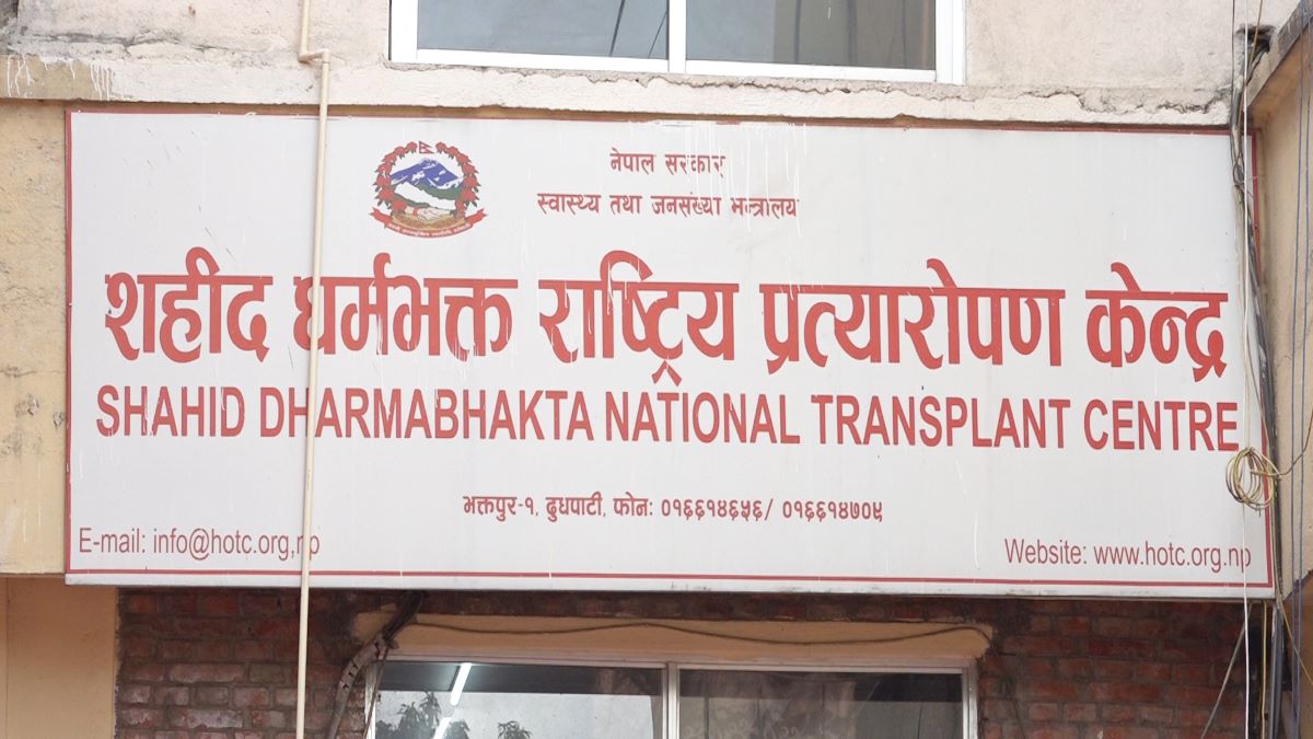 राष्ट्रिय प्रत्यारोपण केन्द्रमा कार्यकारी निर्देशकको खोजी, स्थायीलाई प्राथमिकता दिनुपर्ने राष्ट्रिय प्रत्यारोपण केन्द्रमा कार्यकारी निर्देशकको खोजी, स्थायीलाई प्राथमिकता दिनुपर्ने