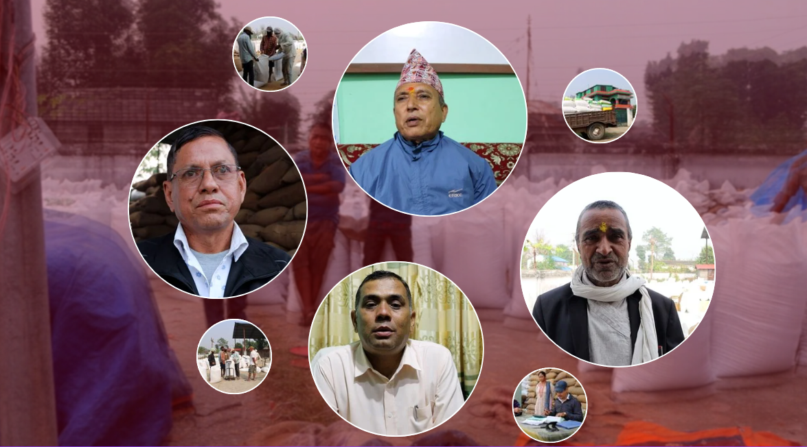 बर्दियामा सहकारीद्वारा समर्थन मूल्यमै धान खरिद, किसानलाई राहत