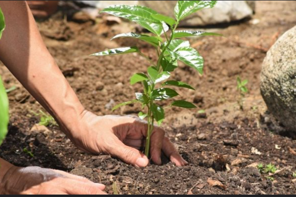 आज युद्ध र सशस्त्र द्वन्द्वमा वातावरणको दुरुपयोग रोक्ने अन्तर्राष्ट्रिय दिवस आज युद्ध र सशस्त्र द्वन्द्वमा वातावरणको दुरुपयोग रोक्ने अन्तर्राष्ट्रिय दिवस