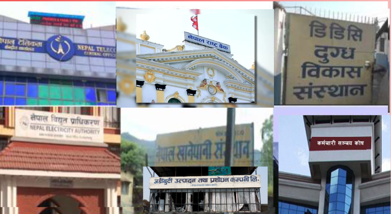 सावर्जनिक संस्थानका कर्मचारीहरुको एउटै बैठकको भत्ता ९ हजार रुपैयाँ सम्म