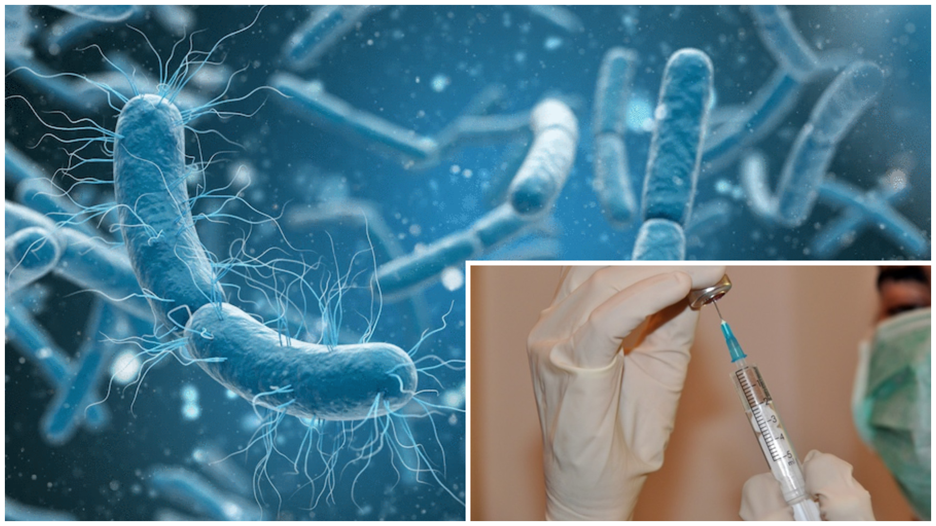 हैजाविरुद्धको खोप ९० प्रतिशतलाई लगाइयो