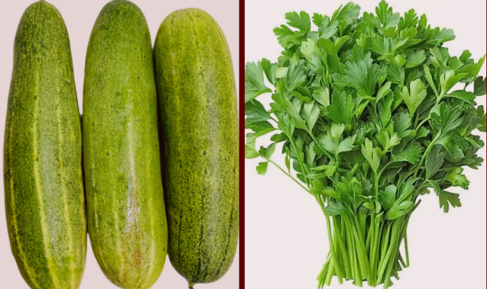 हरियो धनियाँ र काक्रोमा भेटियो अत्याधिक विषादी