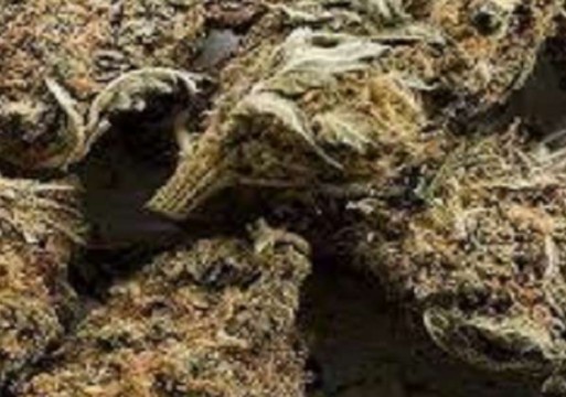 भारतीय नम्बरको सवारी साधनबाट २० किलो गाँजा बरामद