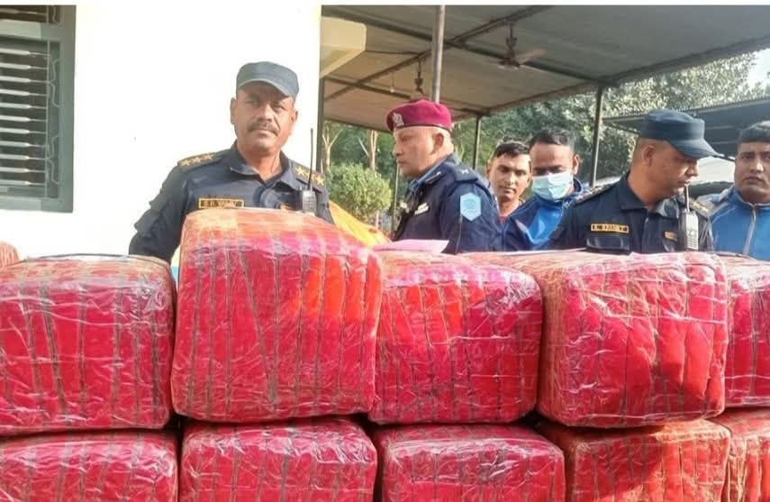 पर्सा प्रहरीले १७६ किलो लागुऔषध गाँजासहित एक जनालाई पक्राउ