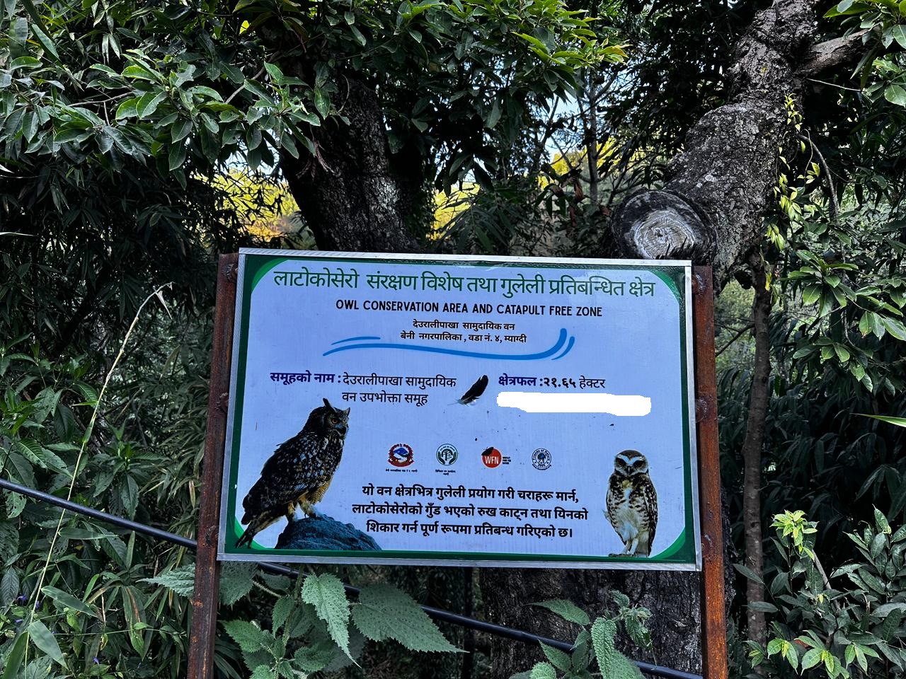 लाटोकोसेरो संरक्षित क्षेत्र बन्यो बास्कुना लाटोकोसेरो संरक्षित क्षेत्र बन्यो बास्कुना