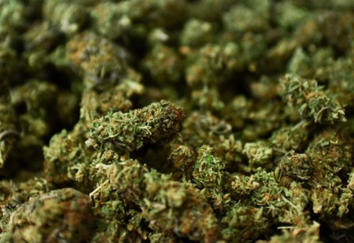 सुनसरी प्रहरिले ३३० केजी गाँजा बरामद सुनसरी प्रहरिले ३३० केजी गाँजा बरामद