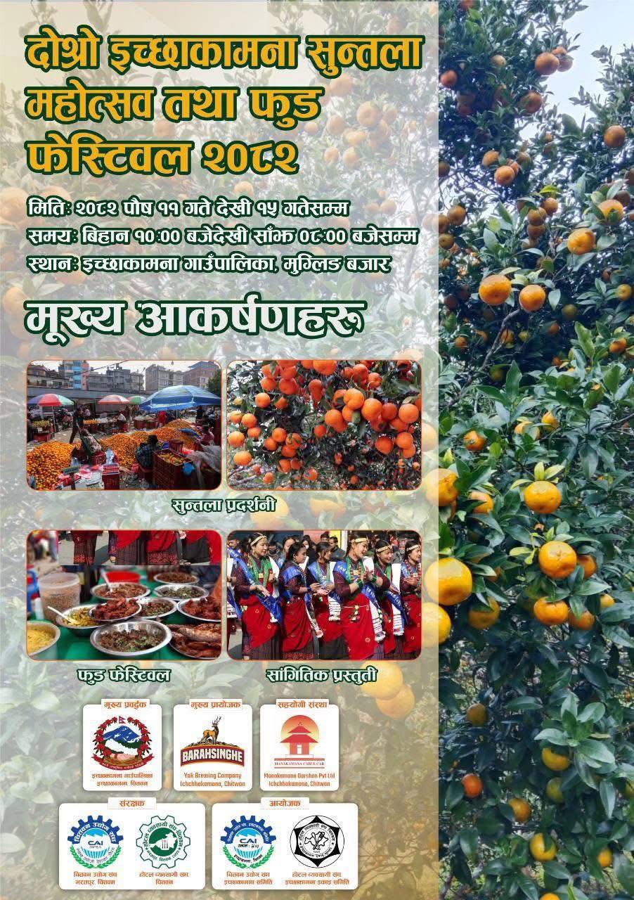 इच्छाकामनामा सुन्तला महोत्सवः पालिकामा १० करोड रुपैयाँसम्म कारोबार