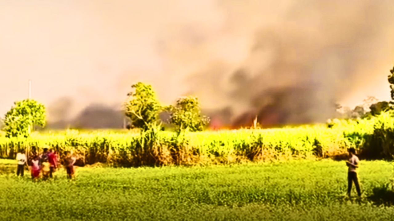 सर्लाहीको उखु खेतीमा भीषण आगलागी सर्लाहीको उखु खेतीमा भीषण आगलागी