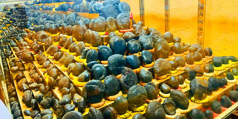 धार्मिक पर्यटकका लागि आकर्षक गन्तव्य बन्दै शालग्राम सङ्ग्रहालय धार्मिक पर्यटकका लागि आकर्षक गन्तव्य बन्दै शालग्राम सङ्ग्रहालय