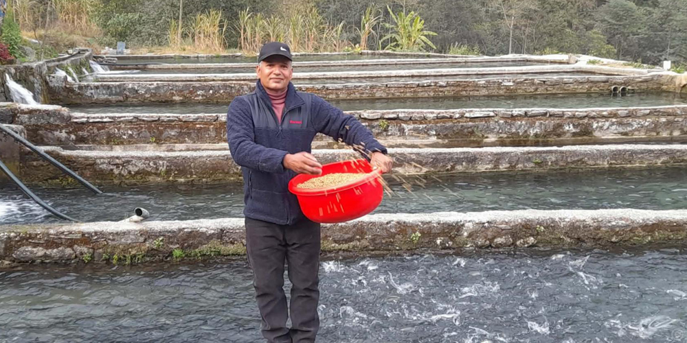 विकट गाउँमा रेन्बो ट्राउटपालन गर्दै पूर्वप्रहरी विकास