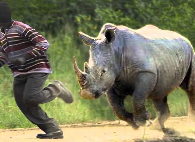 गैँडाको आक्रमणबाट एक जनाको मृत्यु