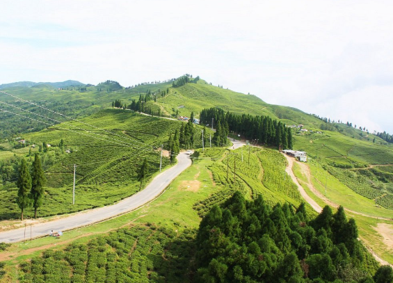 ‘निसान पदमार्ग’ पुस २३ देखि २६ गतेसम्म हुँदै ‘निसान पदमार्ग’ पुस २३ देखि २६ गतेसम्म हुँदै