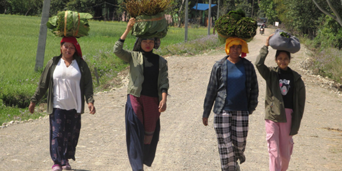 थारु बस्तीमा माघीको उमङ्ग