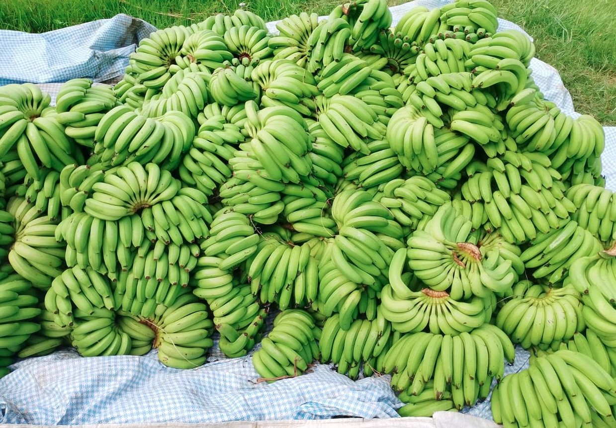 भन्सार छलेर ल्याएका अवैध केरा र विभिन्न सामान बरामद