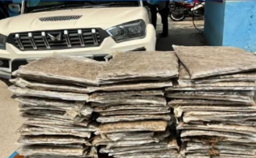 सुनसरिमा गाँजा बोकेको स्कारपियो गाडी सहित ३ जना पक्राउ