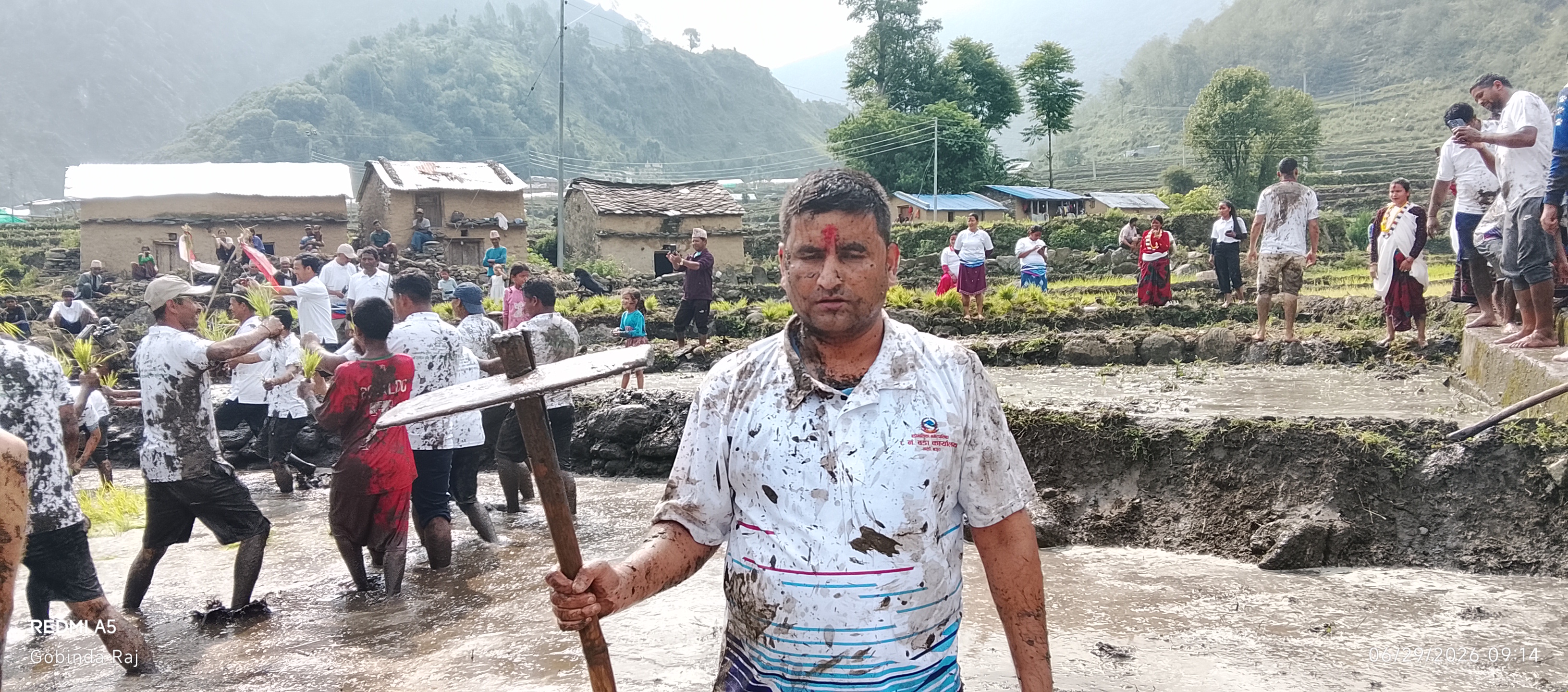 बाजुरामा धान दिवस तथा रोपाईँ महोत्सवको रौनक, प्रविधि र उत्पादन बढाउन जोड