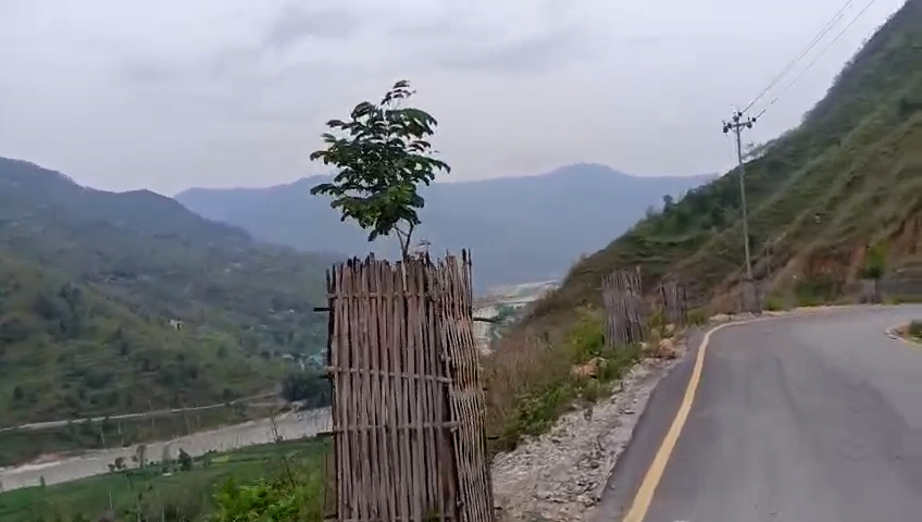 हरित सडक अभियान, सडक किनार बन्यो बगैँचा हरित सडक अभियान, सडक किनार बन्यो बगैँचा