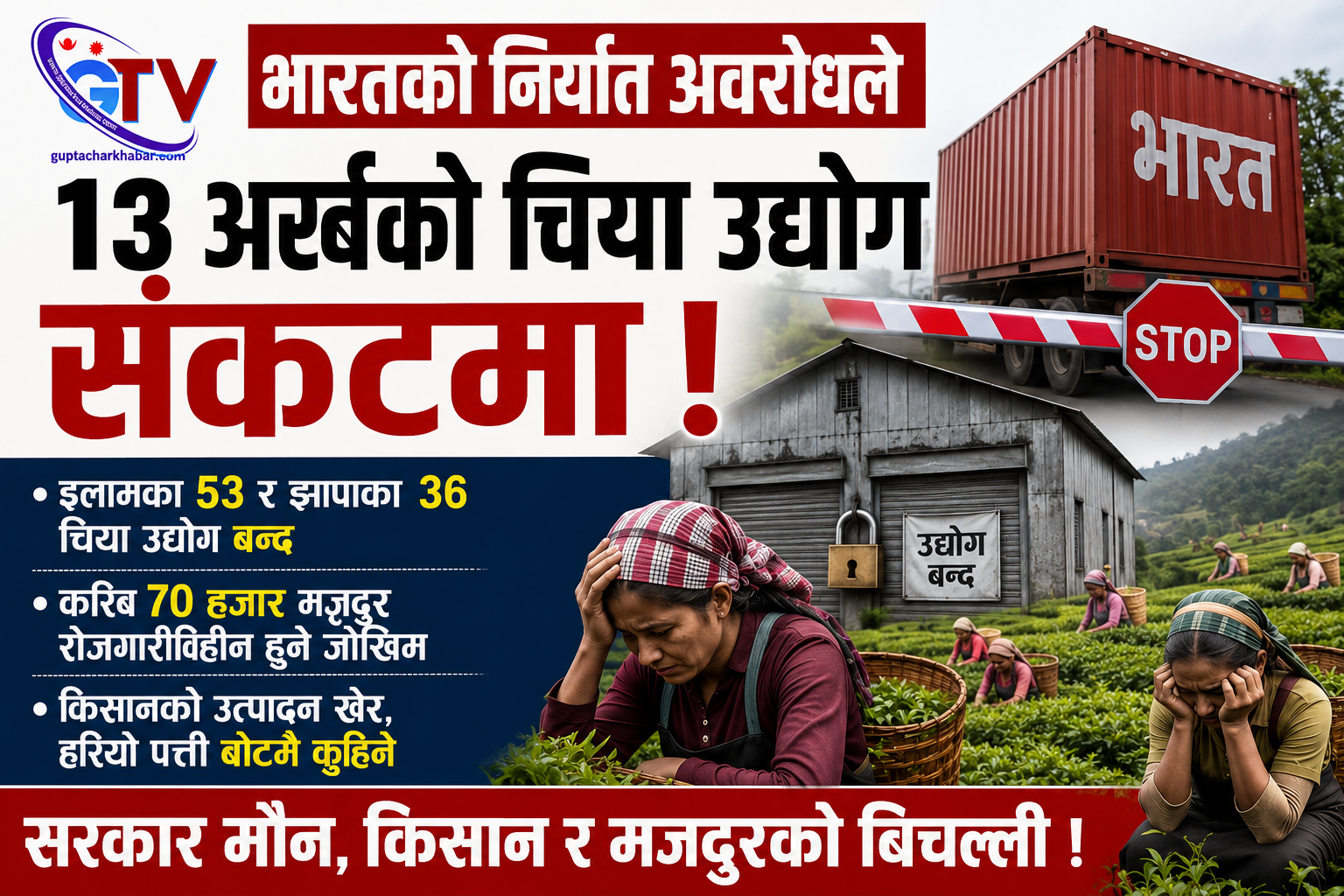 भारतमाथिको निर्भरताले थलियो नेपाली चिया उद्योग भारतमाथिको निर्भरताले थलियो नेपाली चिया उद्योग
