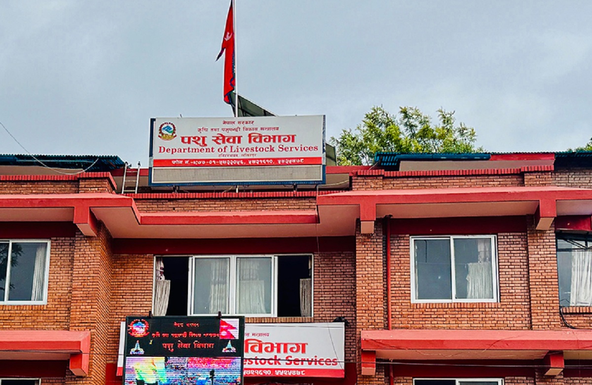 बर्डफ्लु नियन्त्रणमा कडाइ, सङ्क्रमित पन्छी बिक्री गरे कानुनी कारबाही बर्डफ्लु नियन्त्रणमा कडाइ, सङ्क्रमित पन्छी बिक्री गरे कानुनी कारबाही