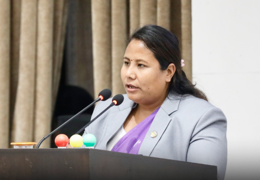विस्थापितको समस्या समाधान गर्न समिति गठन