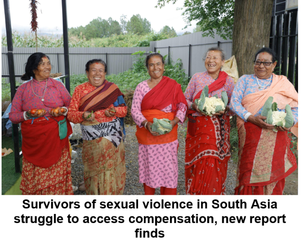 दक्षिण एसियामा यौंन हिंसा पीडितको क्षतिपूर्तिको पहुँच सम्बन्धी प्रतिवेदन सार्वजनिक