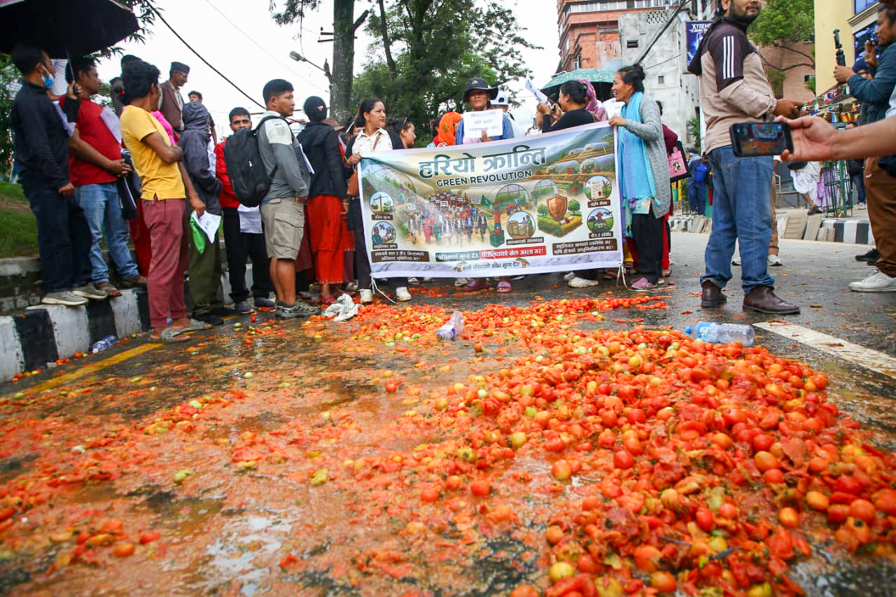 टमाटर किसानको मागपछि सरकार सक्रिय