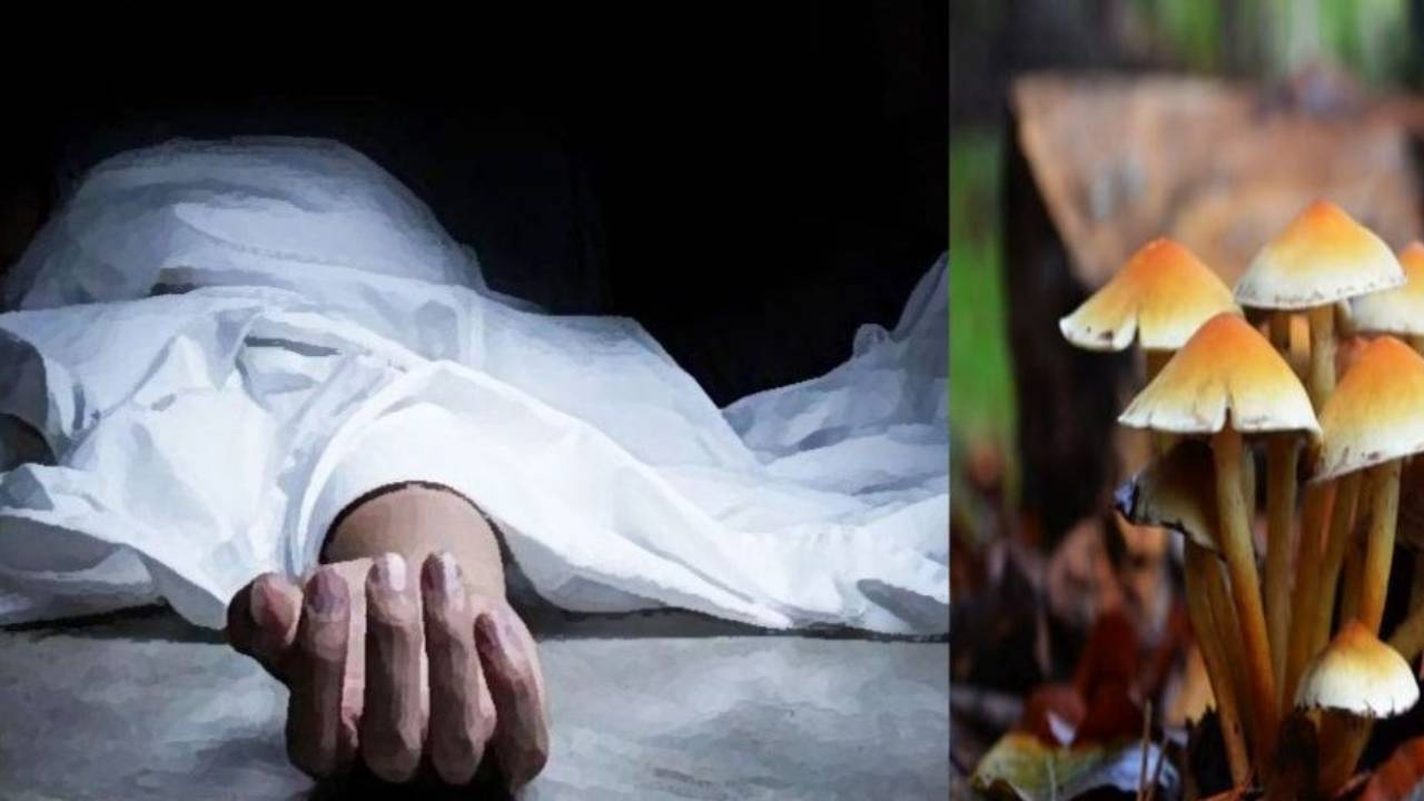 बाजुरामा विषालु च्याउ खाएर श्रीमानको मृत्यु, श्रीमतीको अवस्था गम्भीर 