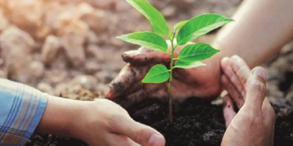 राष्ट्रिय भू संरक्षण दिवस मनाइँदै राष्ट्रिय भू संरक्षण दिवस मनाइँदै